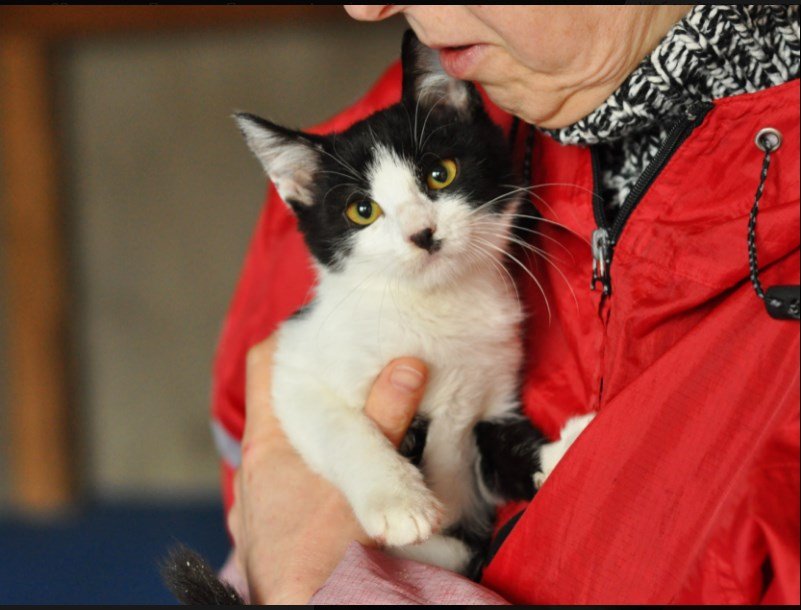 Карузо умеет заглядывать прямо в душу