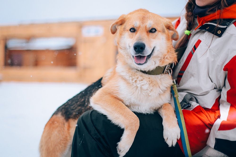 Тони - почти что плюшевый медвежонок: его так и хочется обнимать и любить
