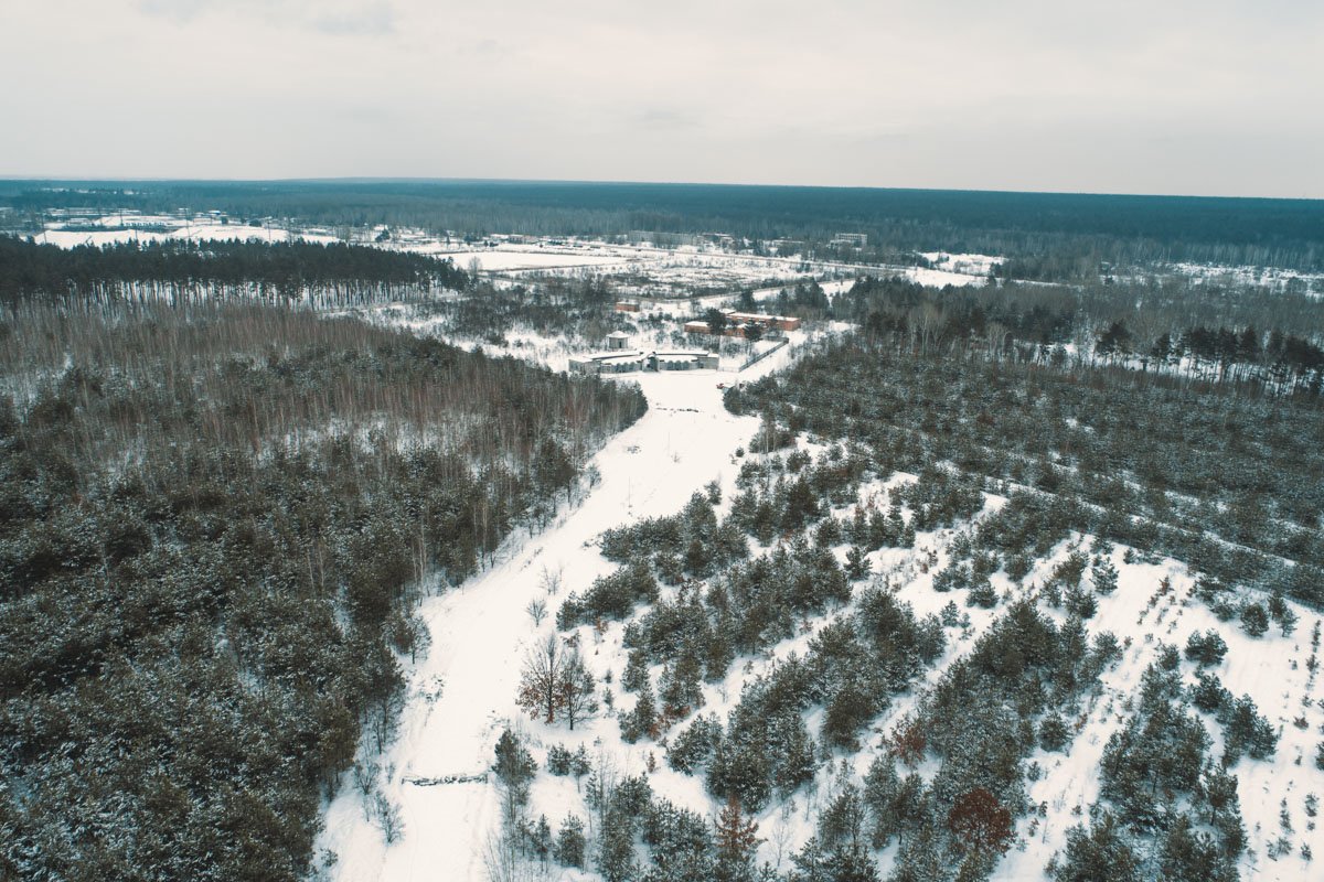 В Киеве планируют построить кладбище для домашних животных