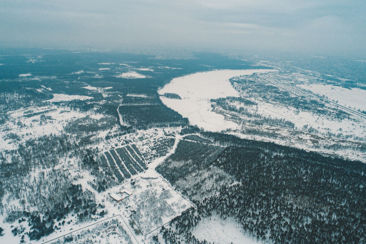 Теперь и в столице можно будет официально попрощаться со своим маленьким другом