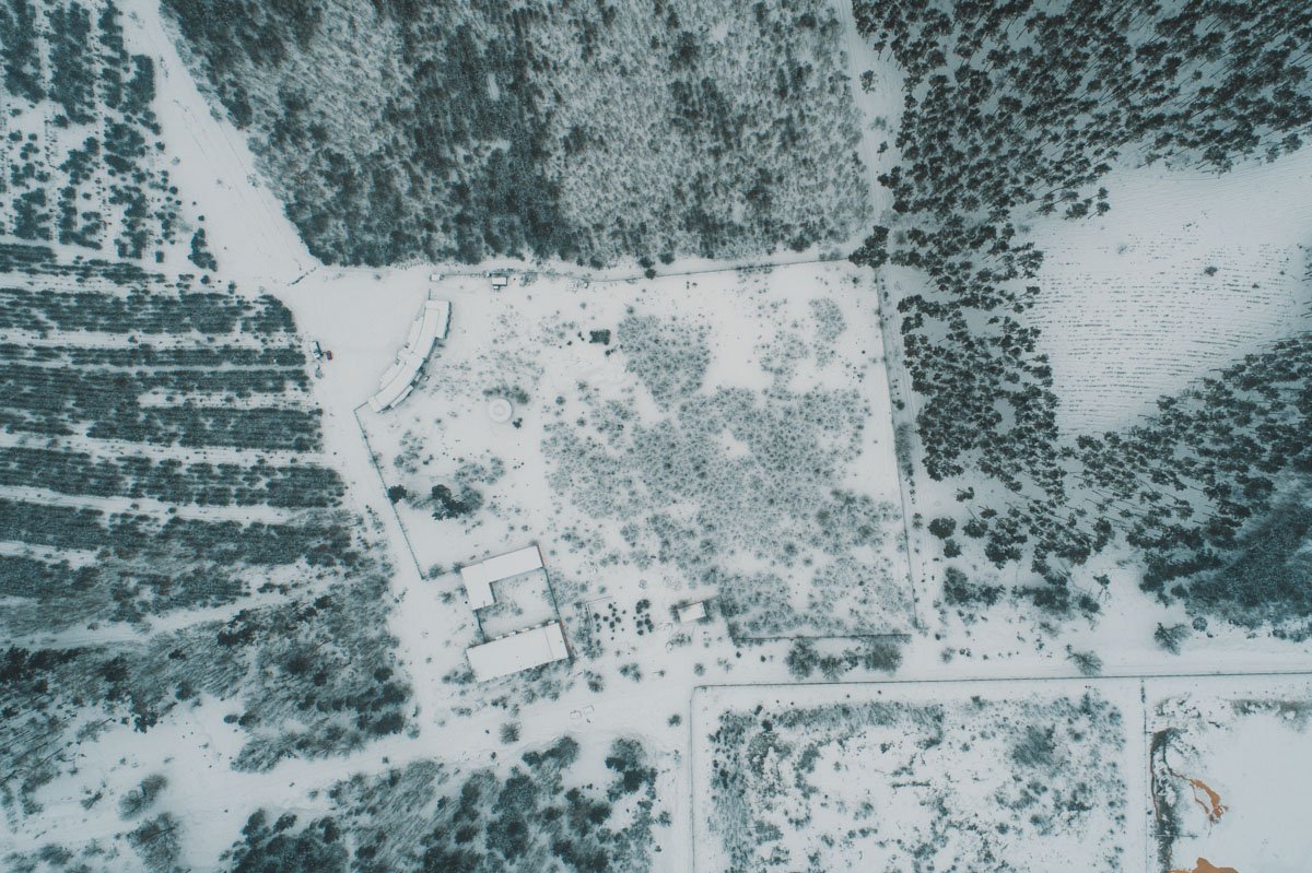 Сейчас в Киеве существуют только стихийные места захоронений домашних любимцев