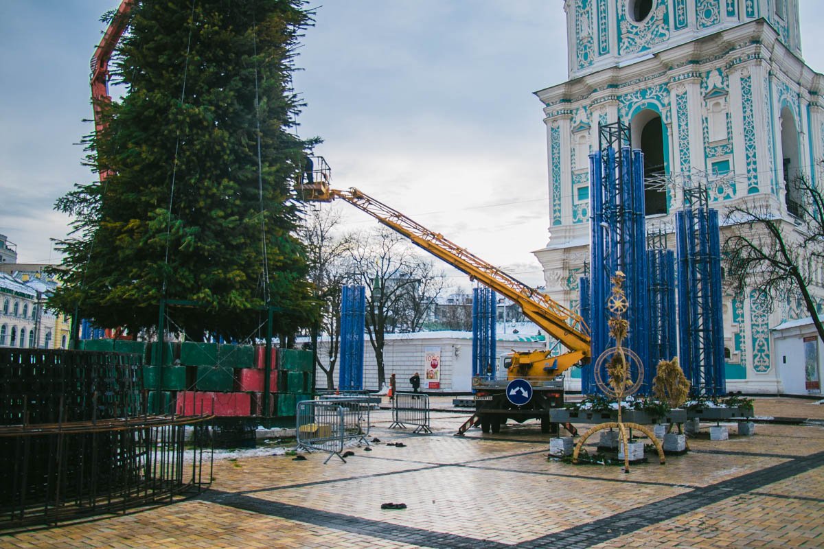 Зеленая красавица радовала жителей Киева с 19 декабря