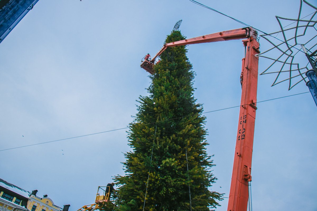 Отметим, что в этом году праздничное дерево на Софийской площади было украшено уникальными гирляндами и 3500 игрушек