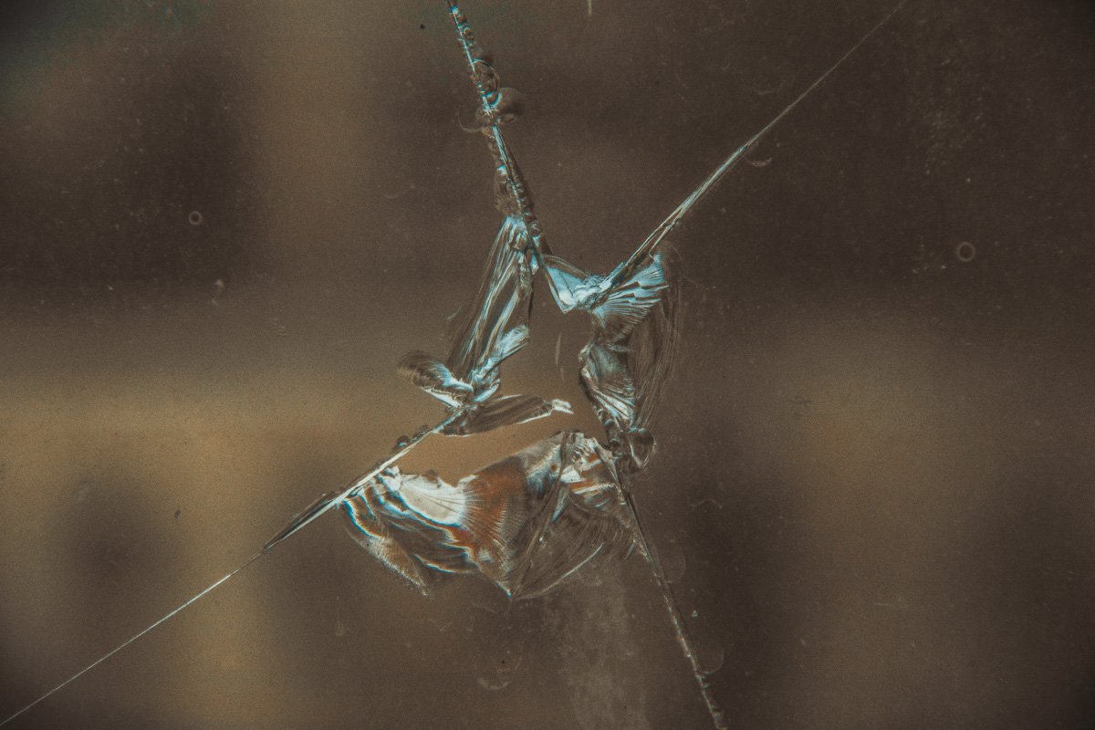 Через разбитые окна сквозит холодный воздух