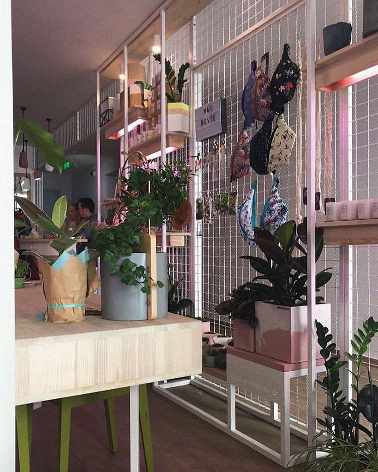 Кофе и растения очень хорошо гармонируют. Фото: @bogdana.martyn Кофе и растения очень хорошо гармонируют. Фото: @bogdana.martyn