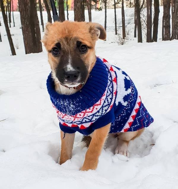 Бровки настоящей кокетки у малышки Риммы Бровки настоящей кокетки у малышки Риммы