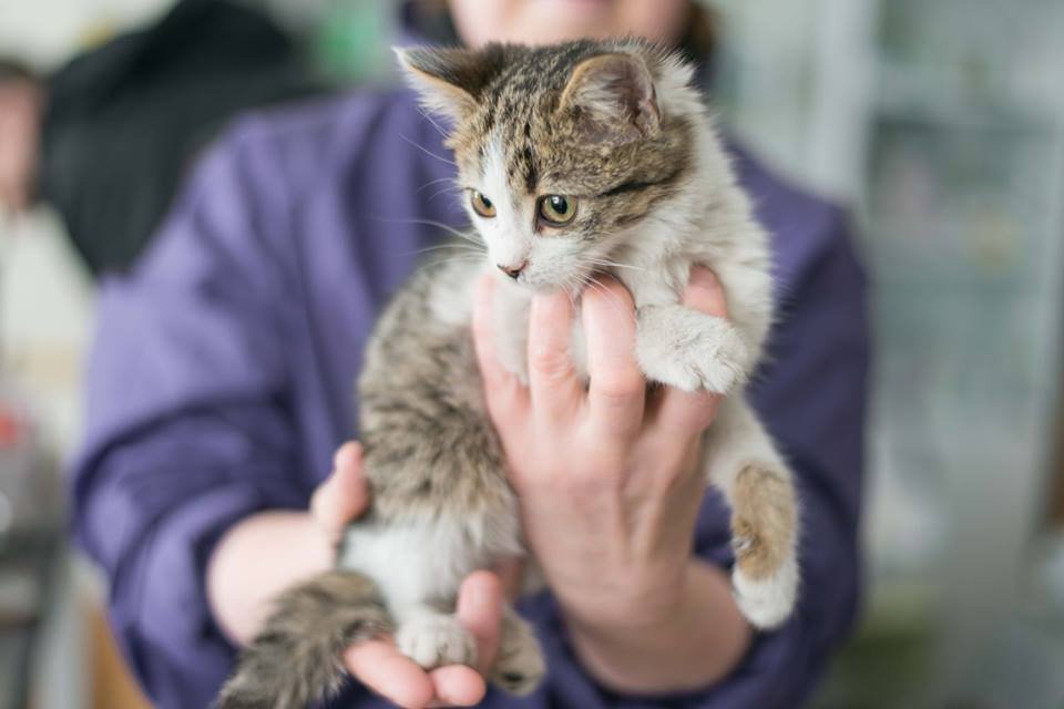 Ерочка чудом спасся от гибели, но случается же, что чудо происходит дважды? Мы в это верим! Ерочка чудом спасся от гибели, но случается же, что чудо происходит дважды? Мы в это верим!