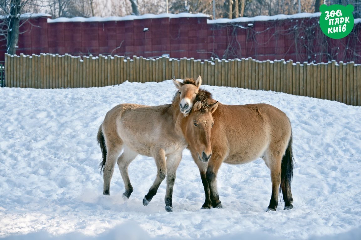 Ну не обижааааайся Ну не обижааааайся