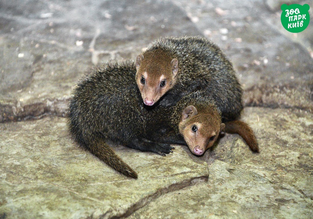 Это вообще законно, быть такими мимимилыми? Это вообще законно, быть такими мимимилыми?