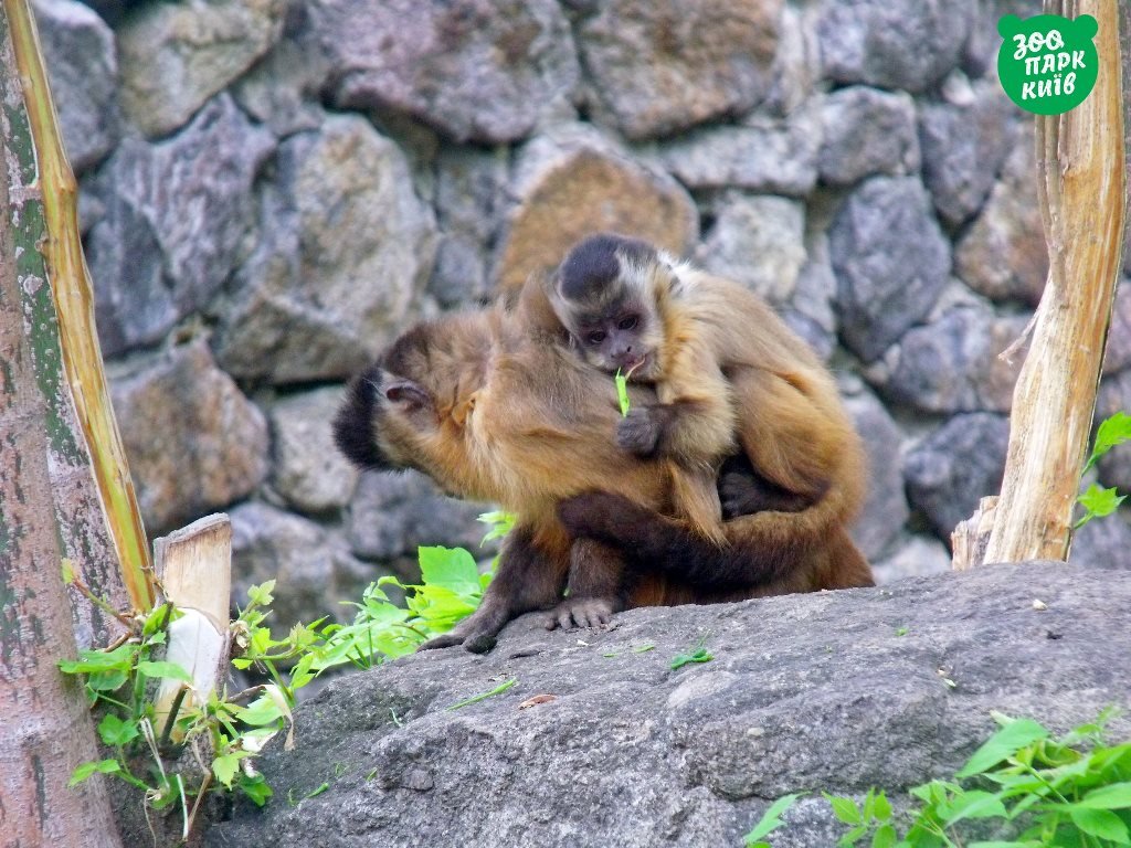 Я нашла тебя и никогда не отпущу Я нашла тебя и никогда не отпущу