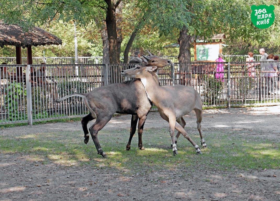 Нет времени объяснять - срочно обними стоящего рядом человека! Нет времени объяснять - срочно обними стоящего рядом человека!