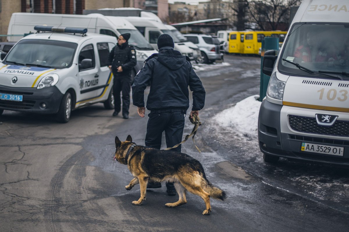 На месте работали кинологи