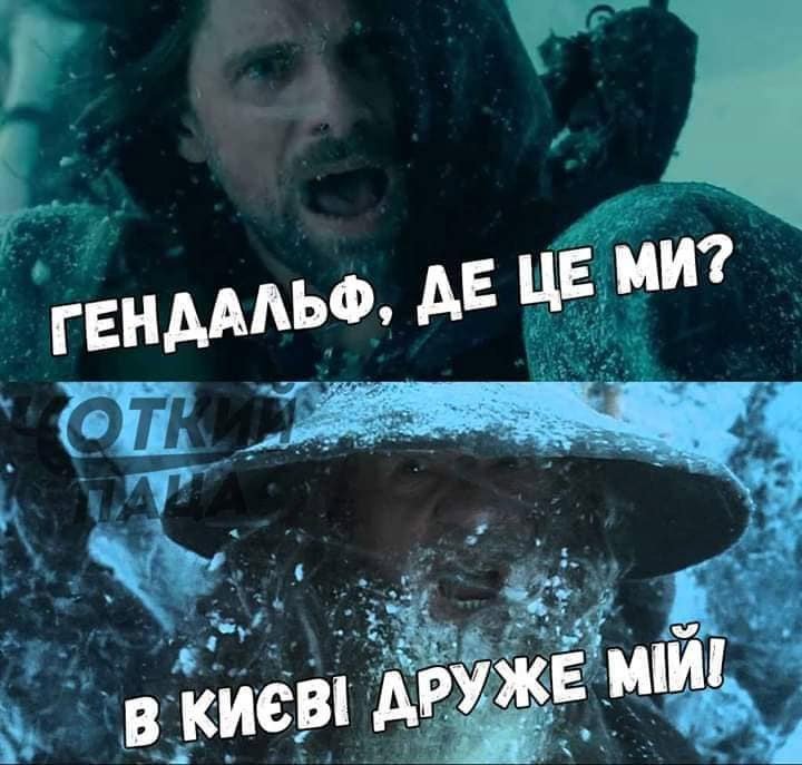 Суровая реальность