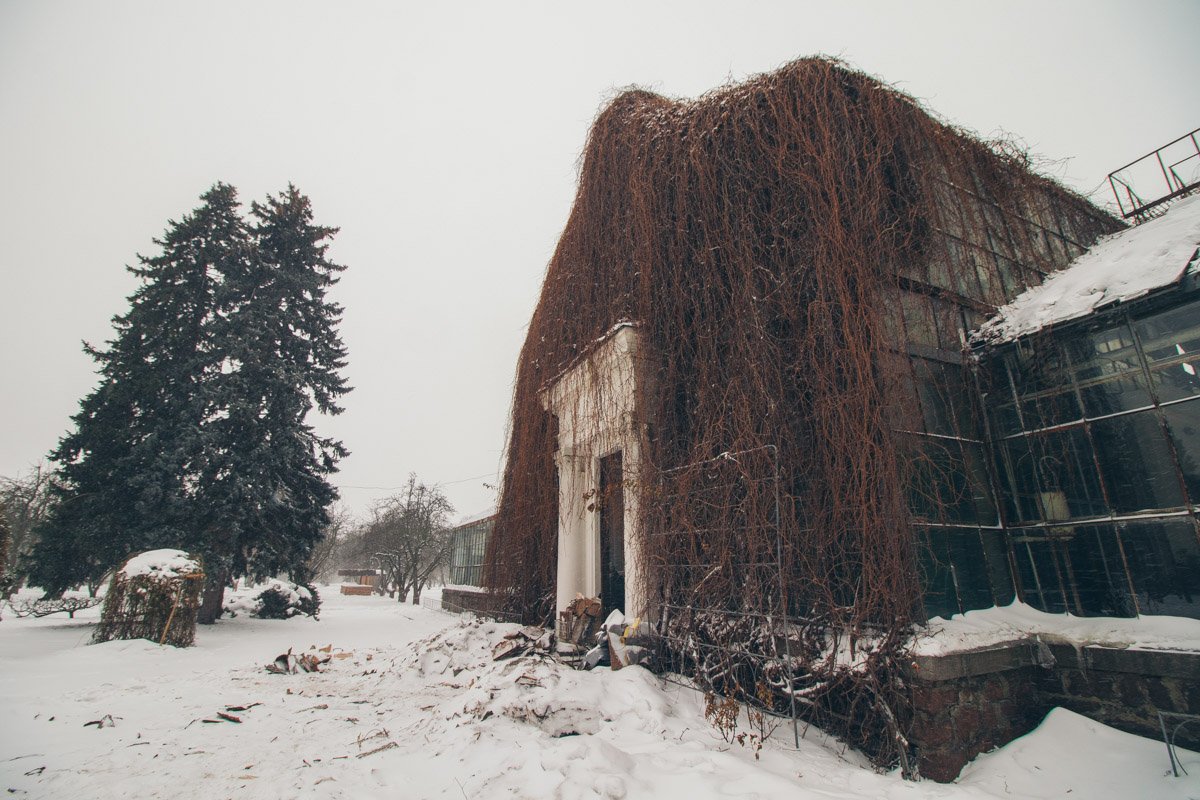 Домик спрятался за волосами 