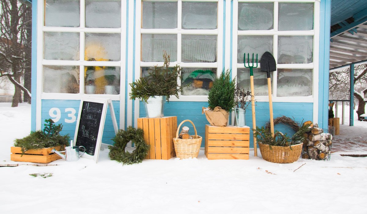 Идеальным зимний натюрморт