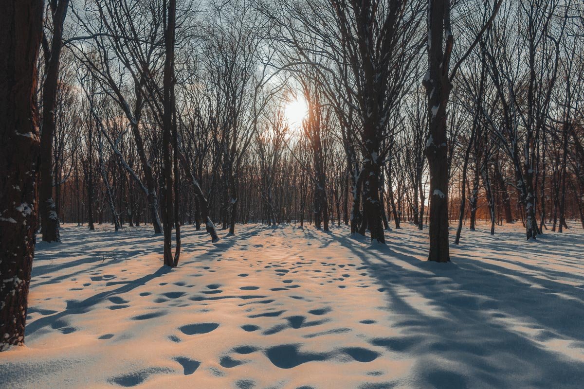 Сочетание солнца и снега может делать прекрасный вид из привычной картины Сочетание солнца и снега может делать прекрасный вид из привычной картины