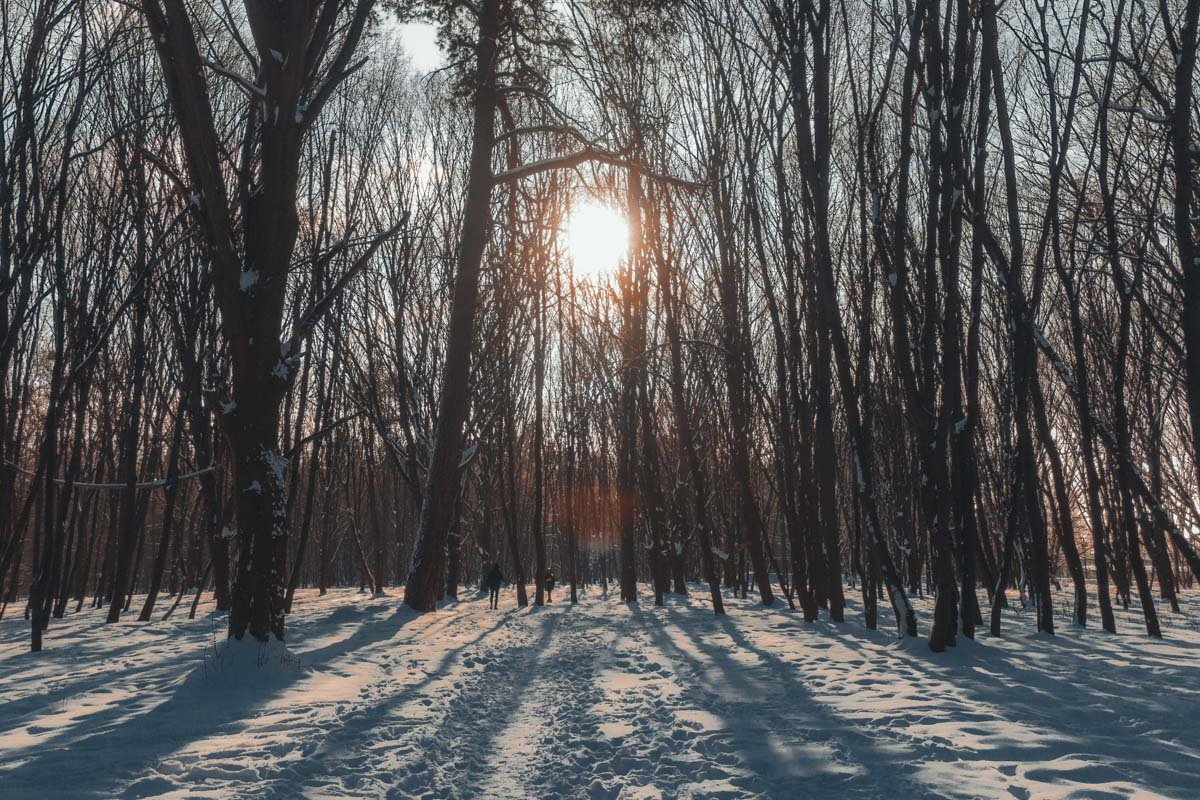Прогулки в парке в такую погоду - отличная инициатива Прогулки в парке в такую погоду - отличная инициатива