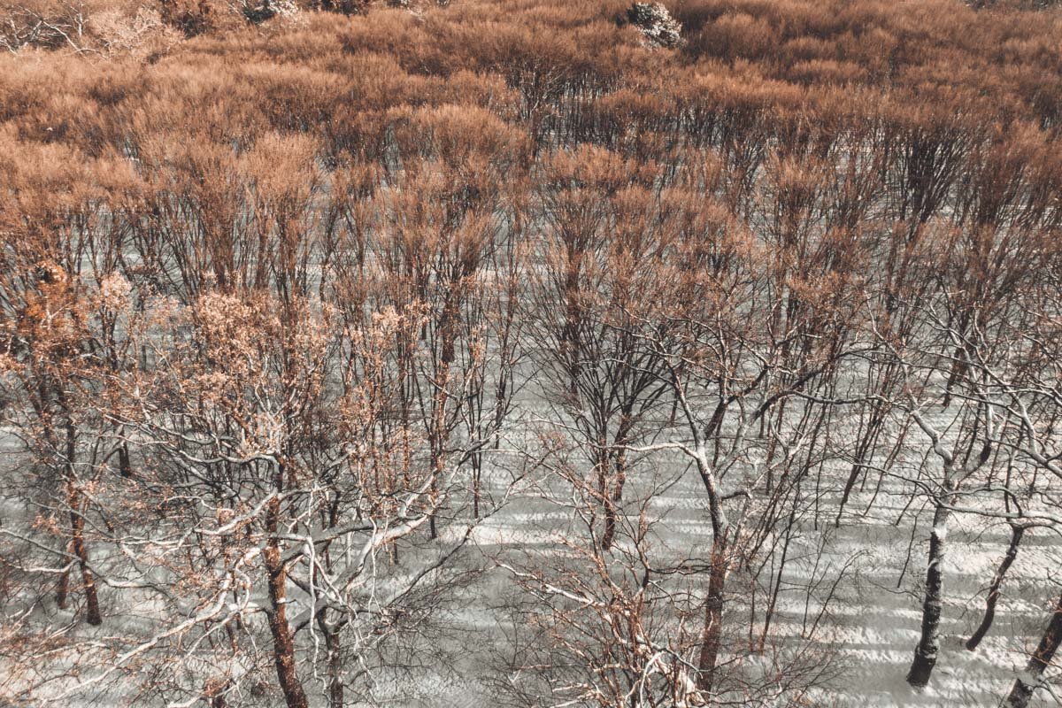 Прекрасная и величественная картина открывается с высоты Прекрасная и величественная картина открывается с высоты