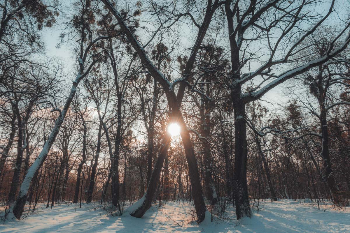 А еще солнечная погода позволяет делать такие снимки А еще солнечная погода позволяет делать такие снимки