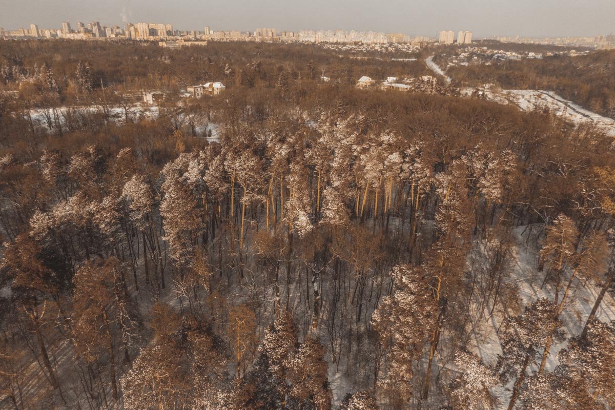 Сказочности картине придают припорошенные снегом опушки деревьев Сказочности картине придают припорошенные снегом опушки деревьев