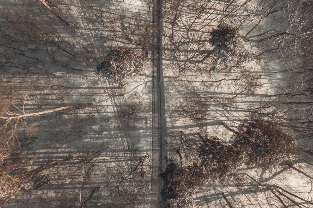 Все-таки снег меняет все. Даже обычная дорога в белом обрамлении смотрится гораздо выгоднее Все-таки снег меняет все. Даже обычная дорога в белом обрамлении смотрится гораздо выгоднее