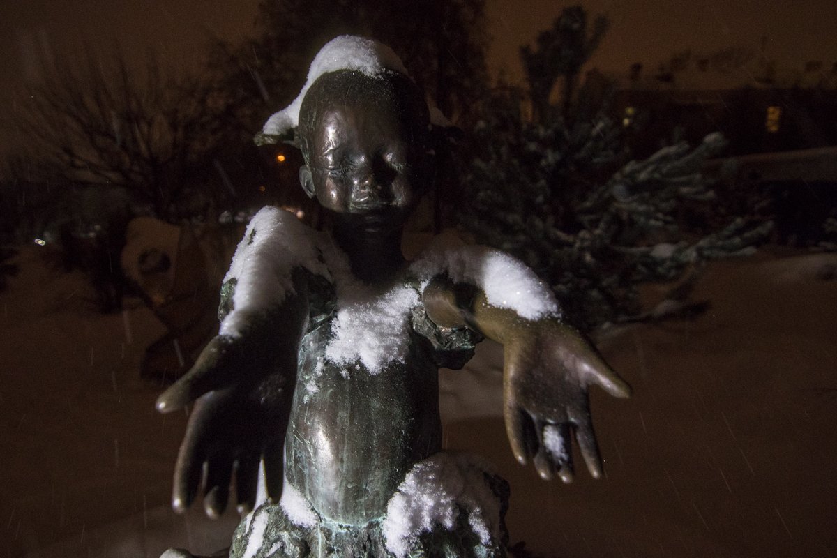 Экспонаты словно просят забрать их в тепло, подальше от назойливого снегопада Экспонаты словно просят забрать их в тепло, подальше от назойливого снегопада