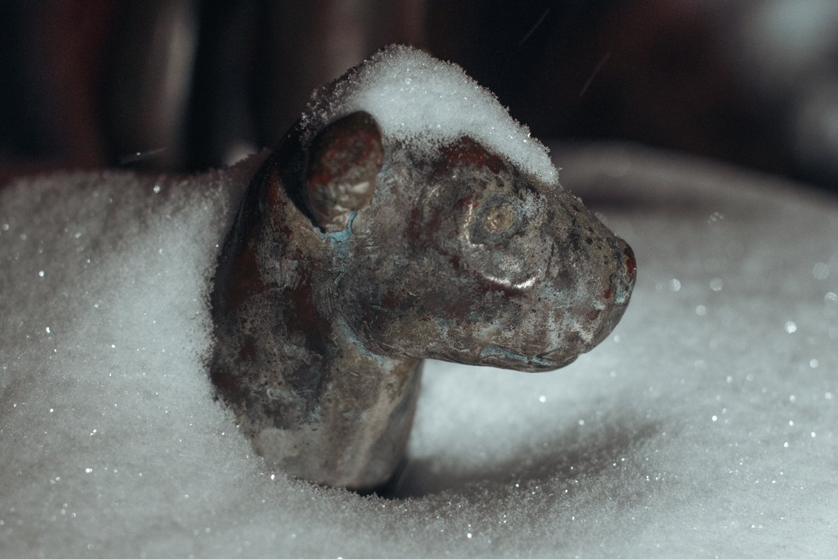 Защитники аллеи наблюдают за порядком под маскировкой Защитники аллеи наблюдают за порядком под маскировкой