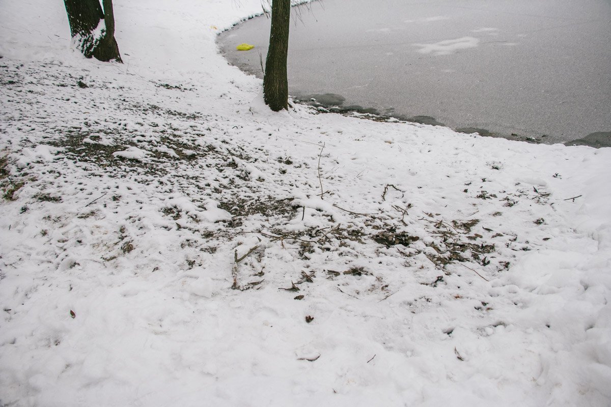 26 января в Киеве на Теремках кипяток хлынул в озеро 26 января в Киеве на Теремках кипяток хлынул в озеро