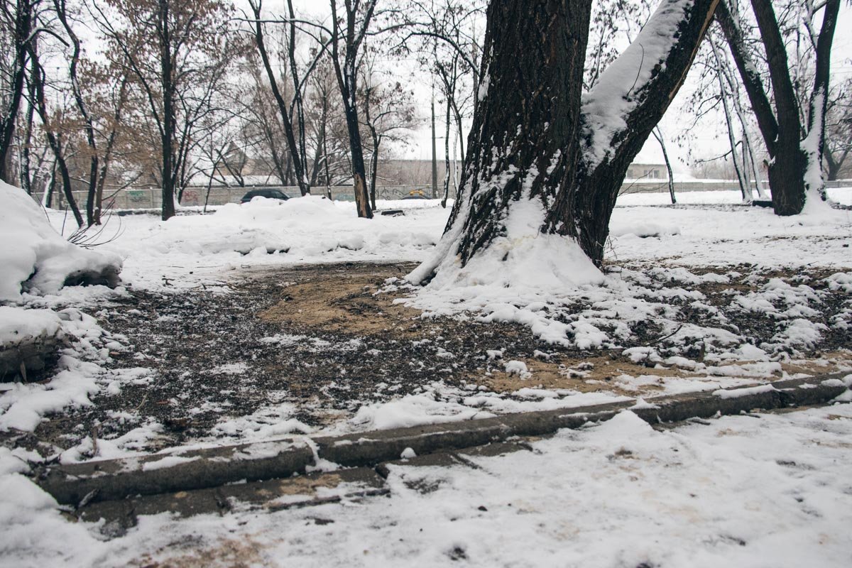 На земле остались следы потеков На земле остались следы потеков
