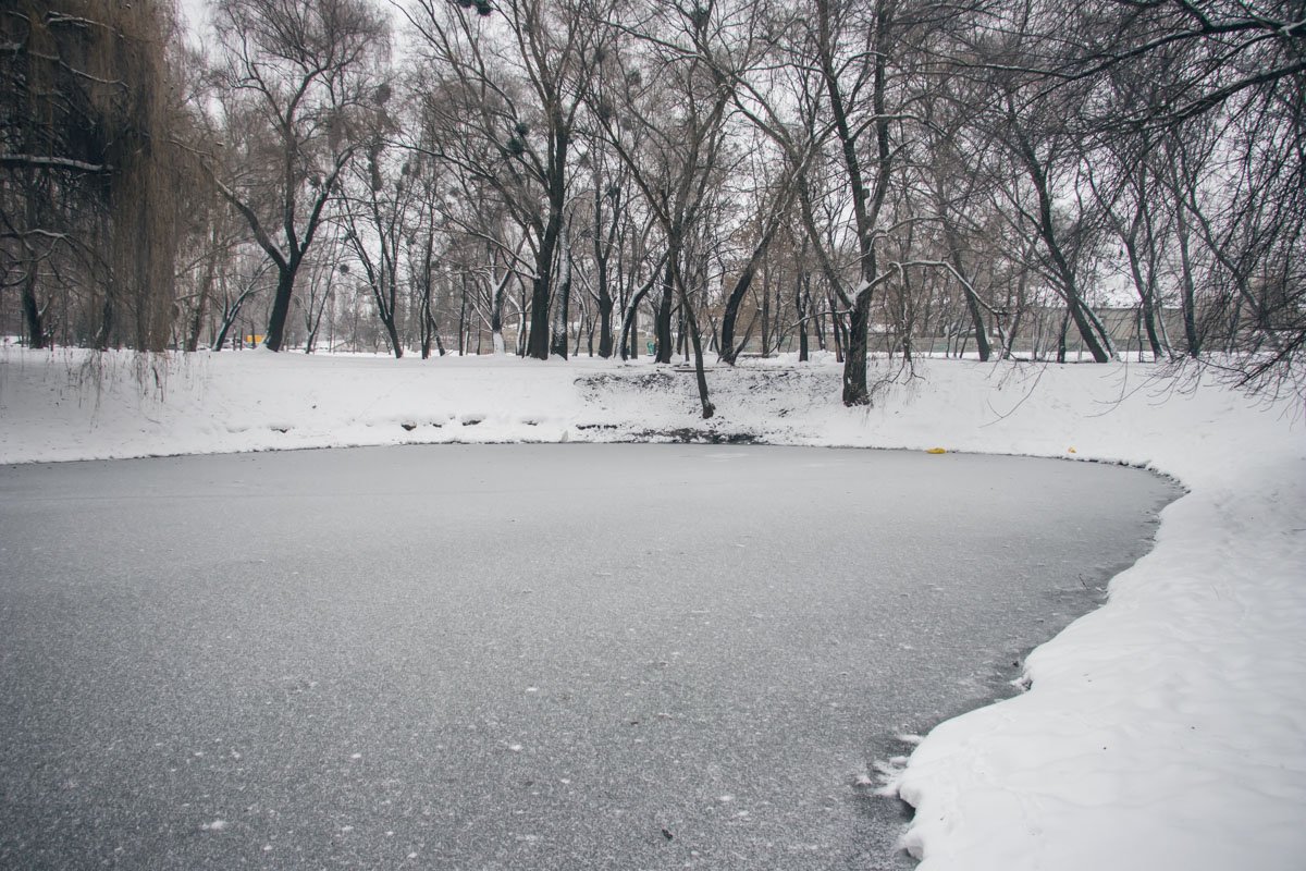 На месте разлива уже образовался лед, а у берегов озера рыбу найти не удалось На месте разлива уже образовался лед, а у берегов озера рыбу найти не удалось