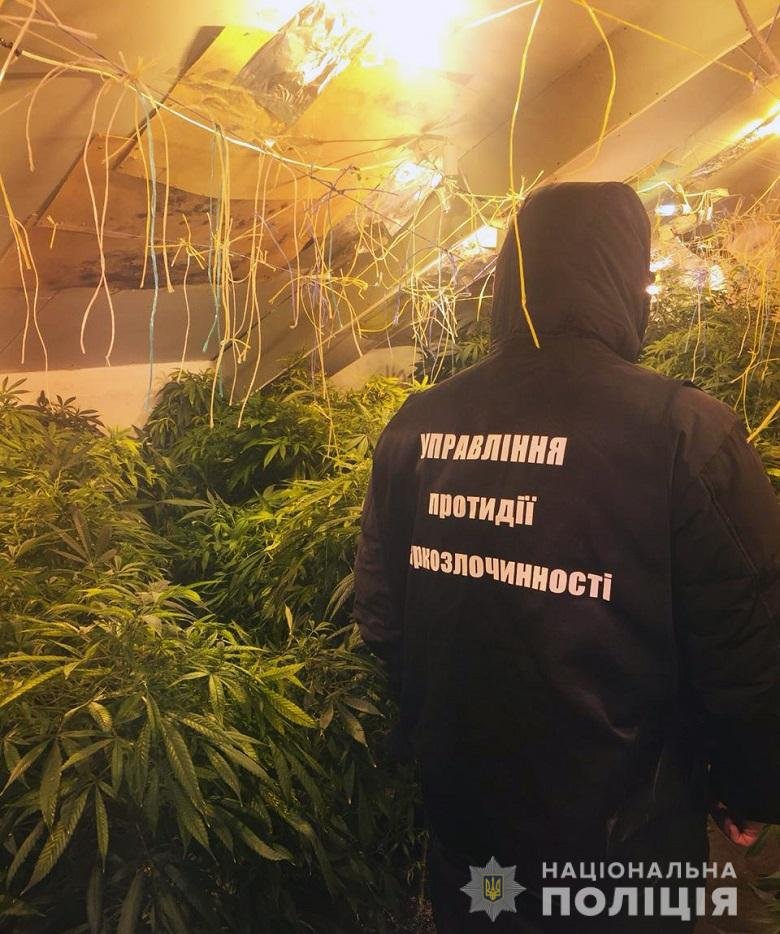 Мужчине грозит до 5 лет лишения свободы