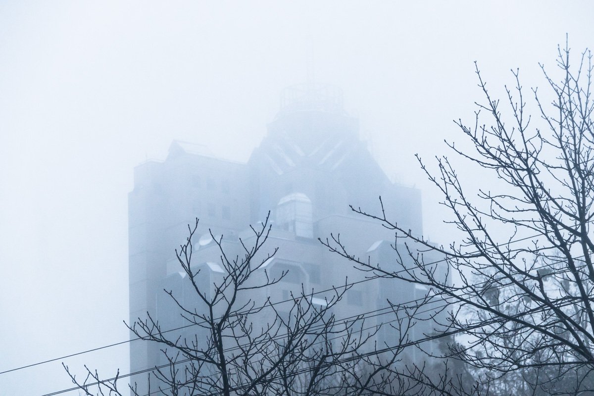 Все тянется к небу