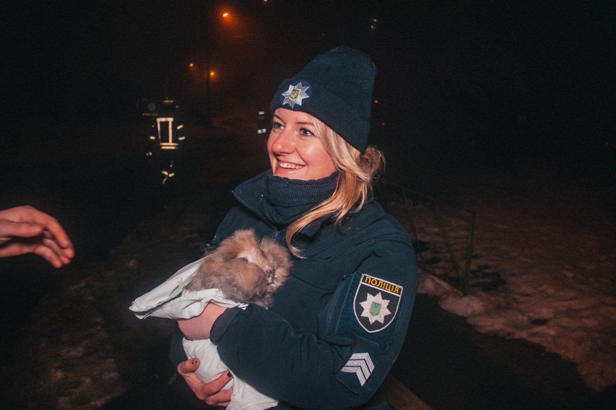 Спустя некоторое время спасатели в дыму нашли домашнего кролика, животное удалось спасти