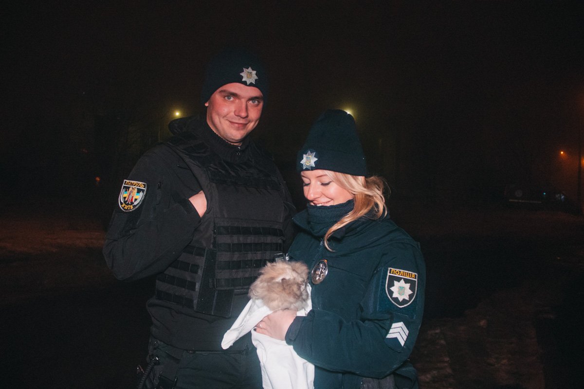 Кролика доставили в ветеринарную клинику, жизни животного ничего не угрожает