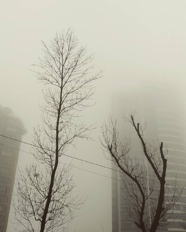 Сайлент Хилл? Кто здесь? Фото: @slavamysak