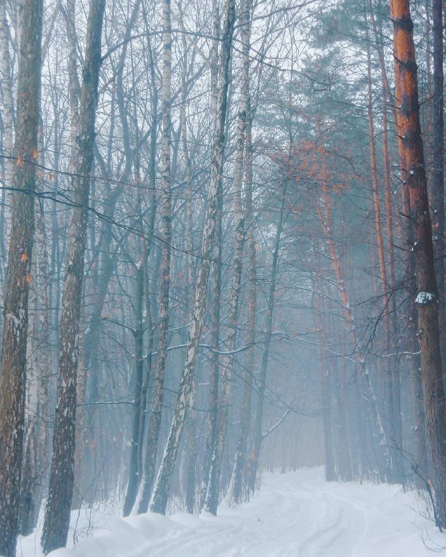 Ау-у-у-у-у! Фото: @space.nature