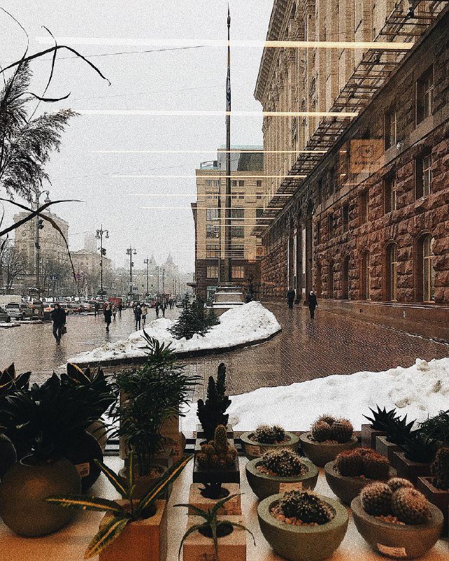 Из окна уютной кафешки ничего не страшно. Фото: @_lapka_