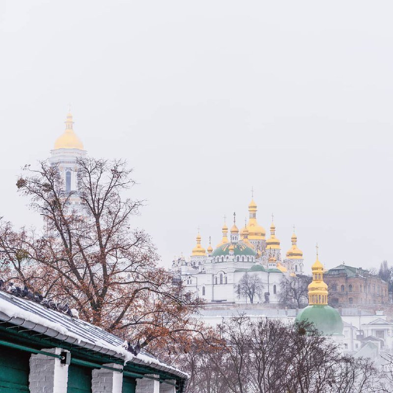 Эти желтые блики не скроет даже туман. Фото: @narcissa.orthodox