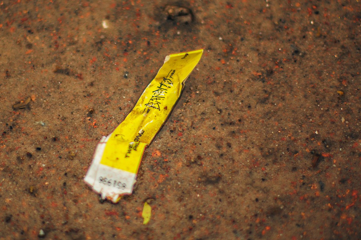 30 января в Киеве на Спортивной площади собрались сотни фанатов Twenty One Pilots