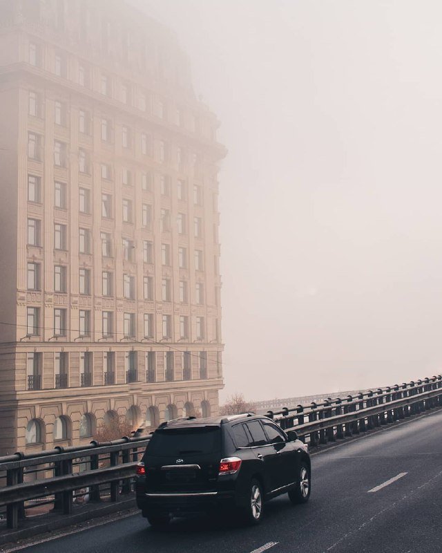 Ежик в тумане