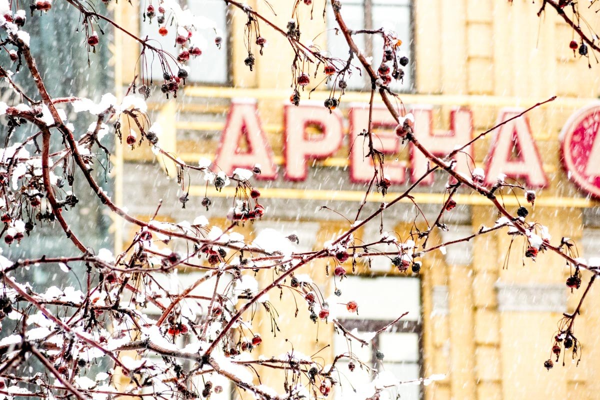 Февраль начался теплой, даже весенней погодой Февраль начался теплой, даже весенней погодой