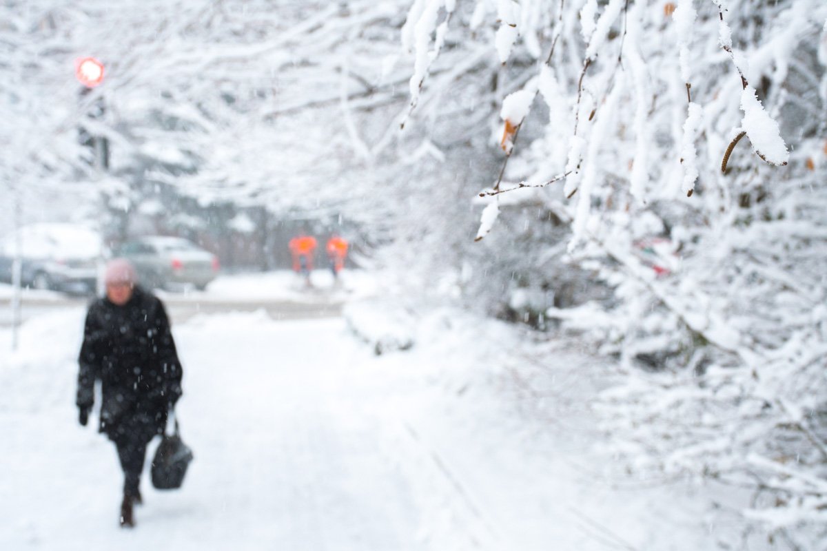 6 февраля в Киеве начался сильный снегопад 6 февраля в Киеве начался сильный снегопад