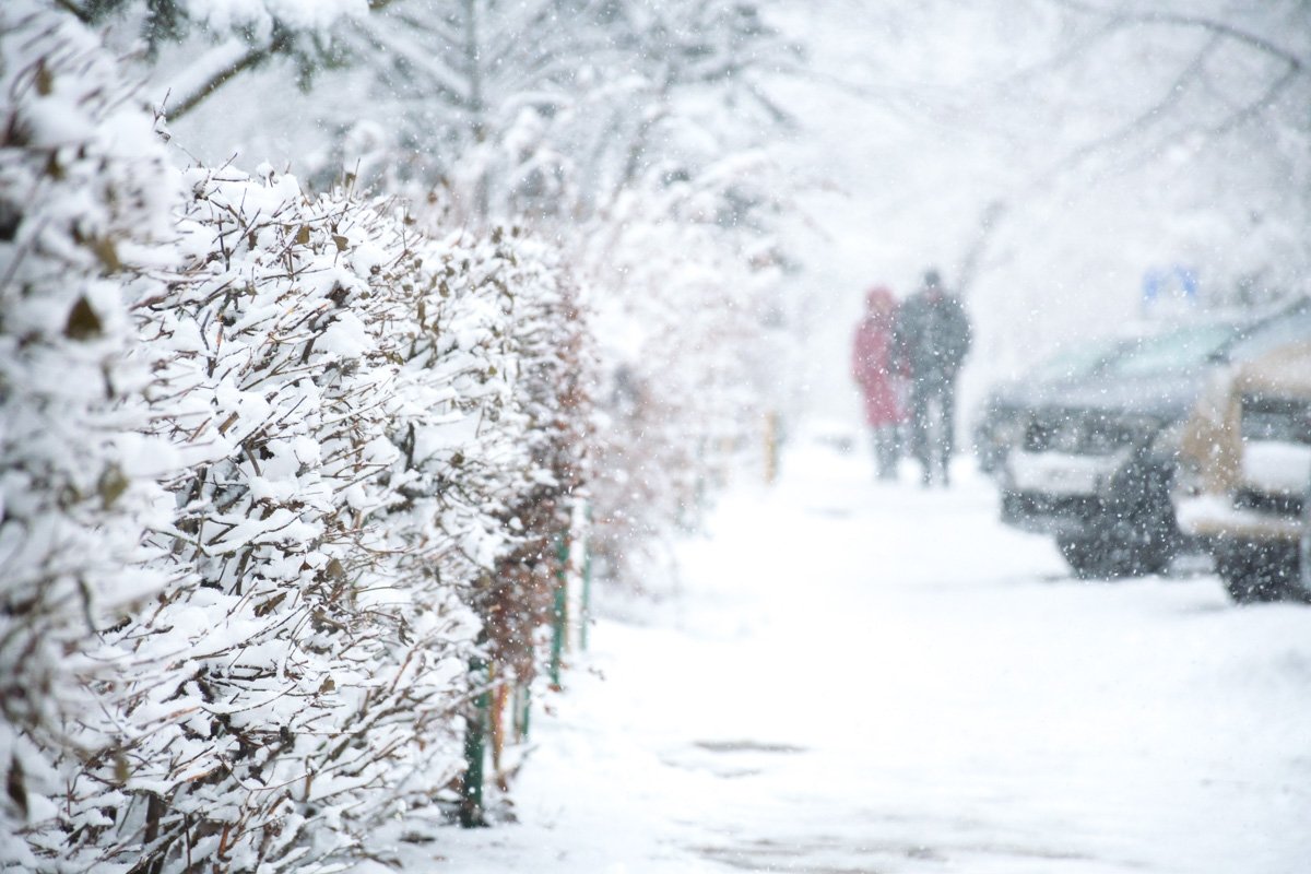 В такой погоде есть что-то романтичное В такой погоде есть что-то романтичное