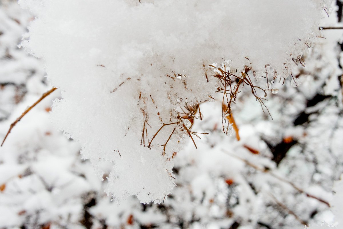 Умейте видеть красоту в мелочах Умейте видеть красоту в мелочах