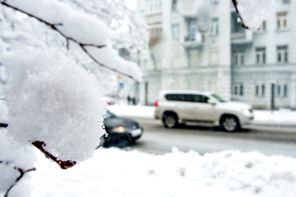 Не на всем стоит фокусировать свой взгляд Не на всем стоит фокусировать свой взгляд