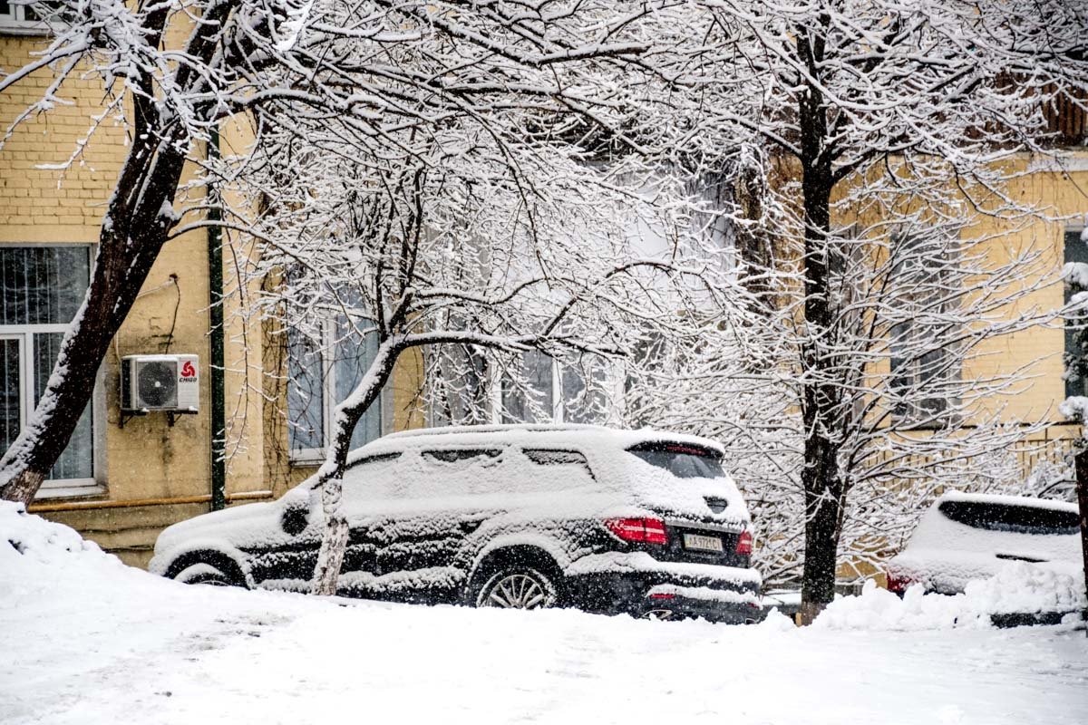 Белая вьюга-зима снегом запорошила Белая вьюга-зима снегом запорошила