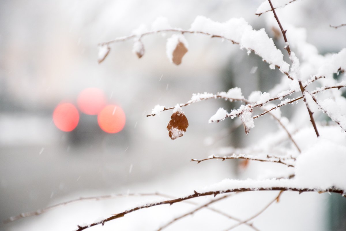 Словил снежинку на ладонь - загадай желание Словил снежинку на ладонь - загадай желание