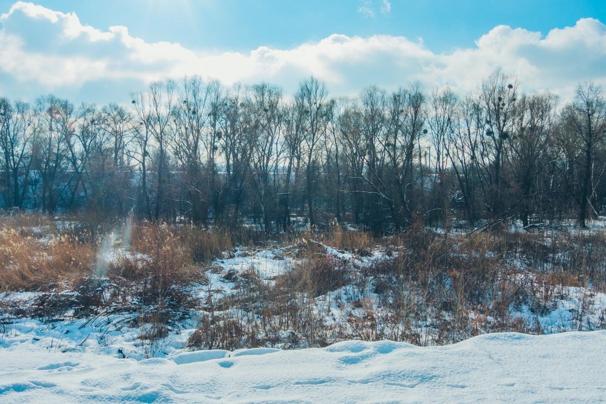 Также нет информации о бюджете, который потратят на обустройство Также нет информации о бюджете, который потратят на обустройство