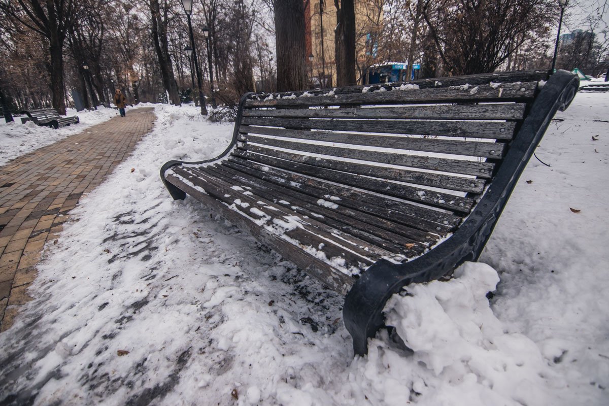 Площадь парка — 11,8 гектара