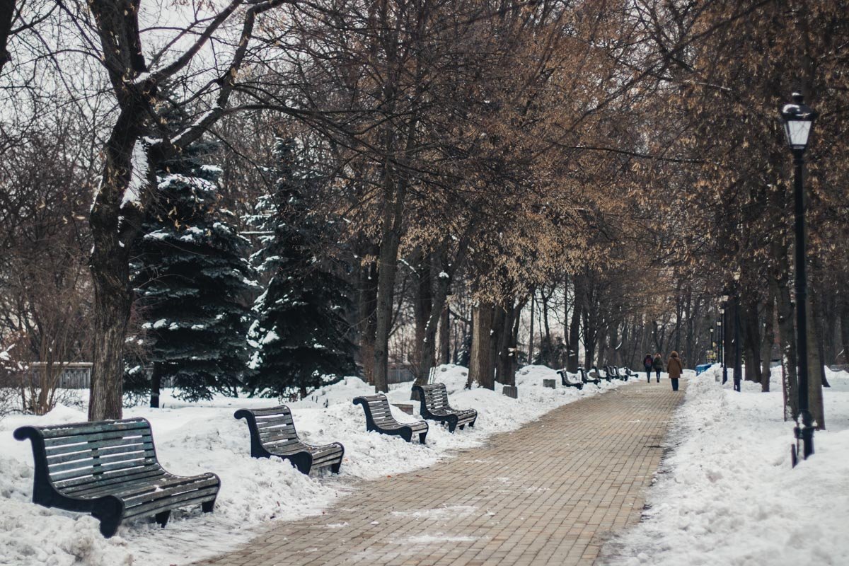 Часть парка в свое время входила в состав Царского сада